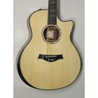Taylor Custom GS BTO (Timo)