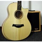 Taylor Builder's Reserve III (Gitaar + Versterker)
