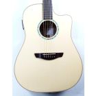 Faith FSCEHG3 - HiGloss 3 Saturn Cutaway/Electro - 3-Piece Rosewood