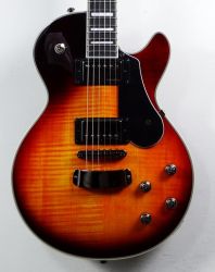 Hagstrom_Swede_LTD_Tiger_Burst_5